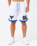 Men’s Embroidered 66 Graphic Shorts – Crush Lycra