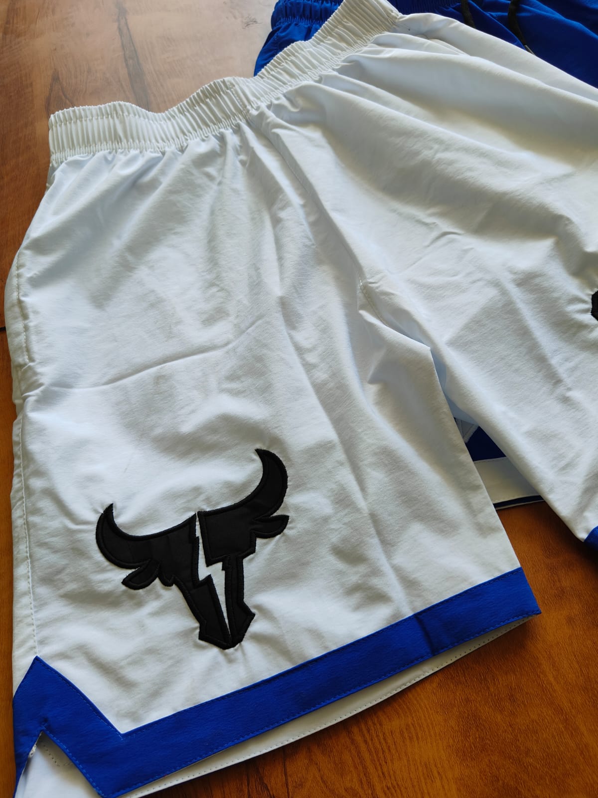 Men's Quick-Dry Athletic Sports Shorts – Bull 66 Performance Edition